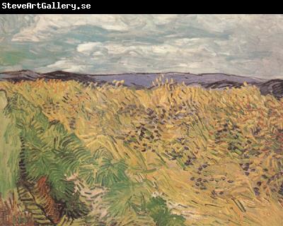 Vincent Van Gogh Whear Field with Cornflowers (nn04)